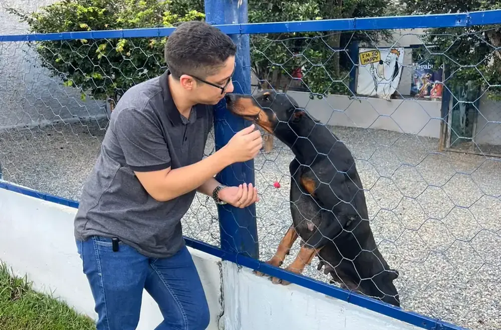 Agência 4 Patas - Marketing Digital para Petshops e Clínicas Veterinárias Agência 4 Patas - assessoria de marketing especializada no nicho pet