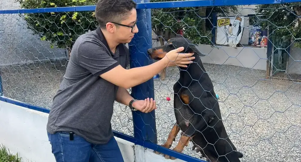 Agência 4 Patas - vantagens da assessoria especializada no nicho pet